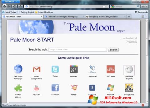 Skærmbillede Pale Moon Windows 10