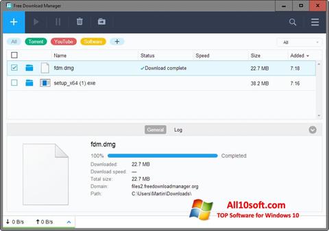 Skærmbillede Free Download Manager Windows 10