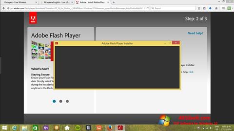 Skærmbillede Adobe Flash Player Windows 10